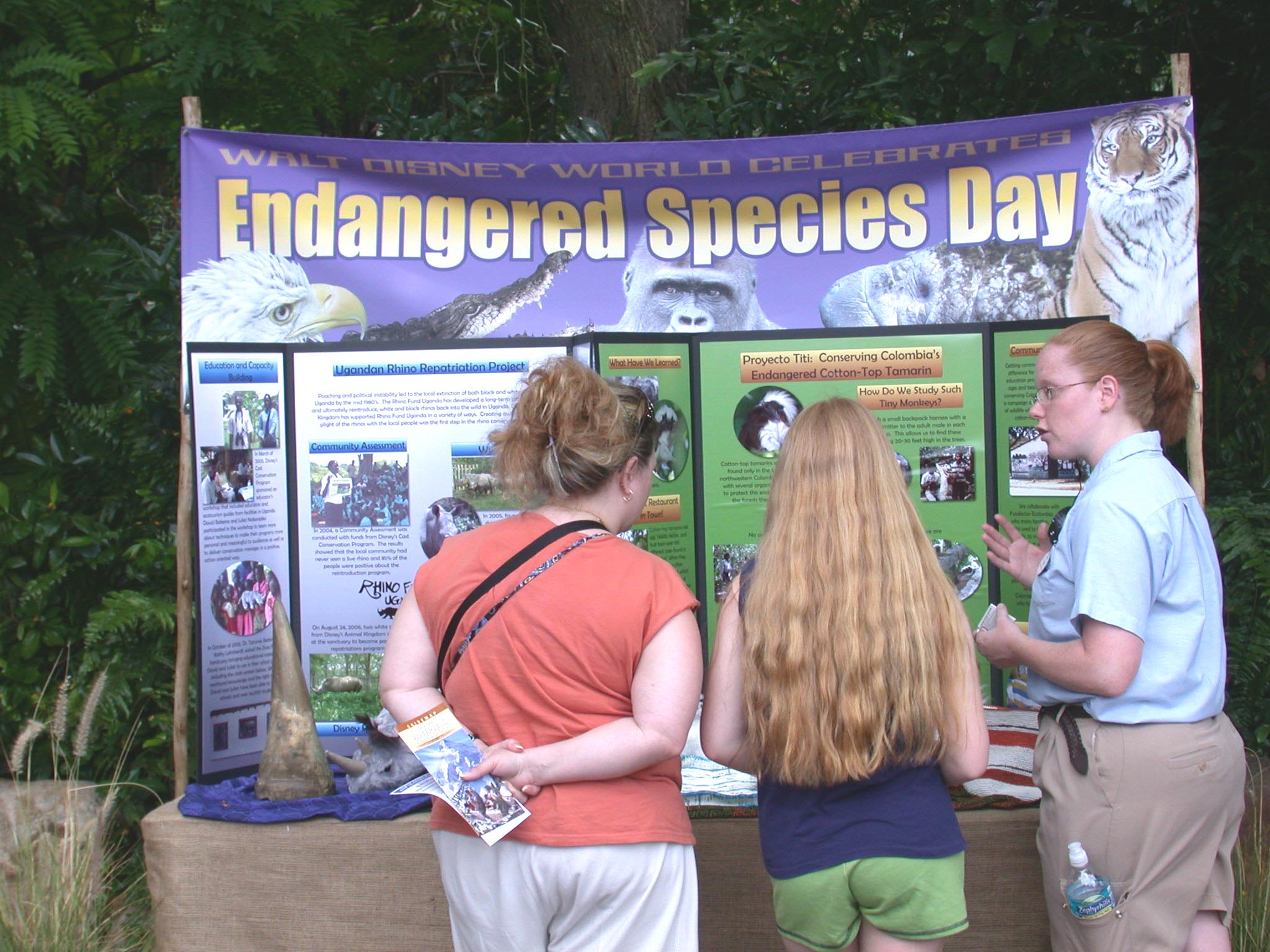 Disney-ES Day Exhibit